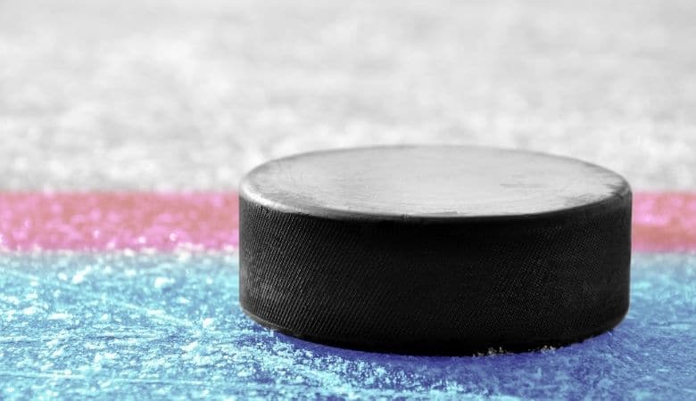  hockey puck