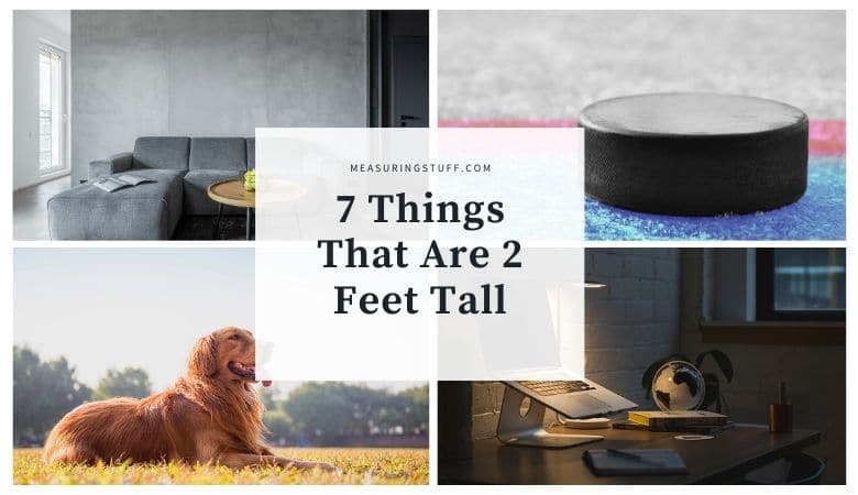 things that are 2 feet tall