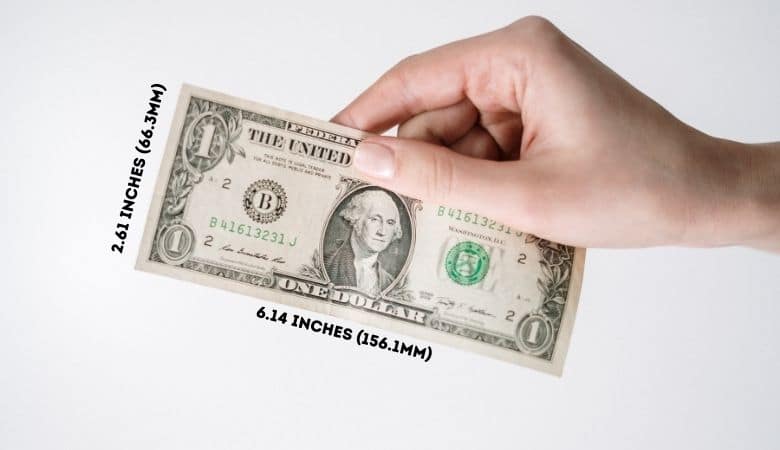 usa 1 dollar bill dimensions