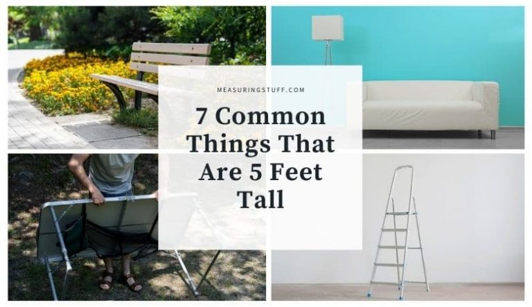 7 Common Things That Are 5 Feet Tall