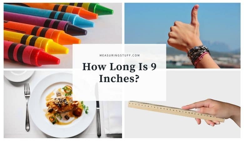 how long is 9 inches