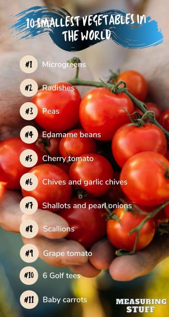 smallest vegetables in the world