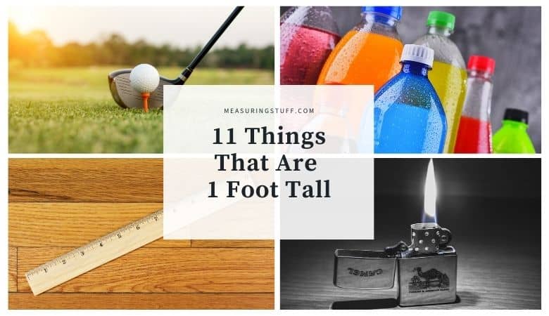 things that are 1 foot tall