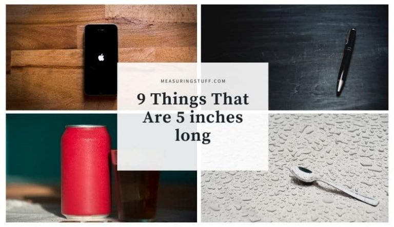 9 Things That Are 5 Inches Long (Check Out #3)