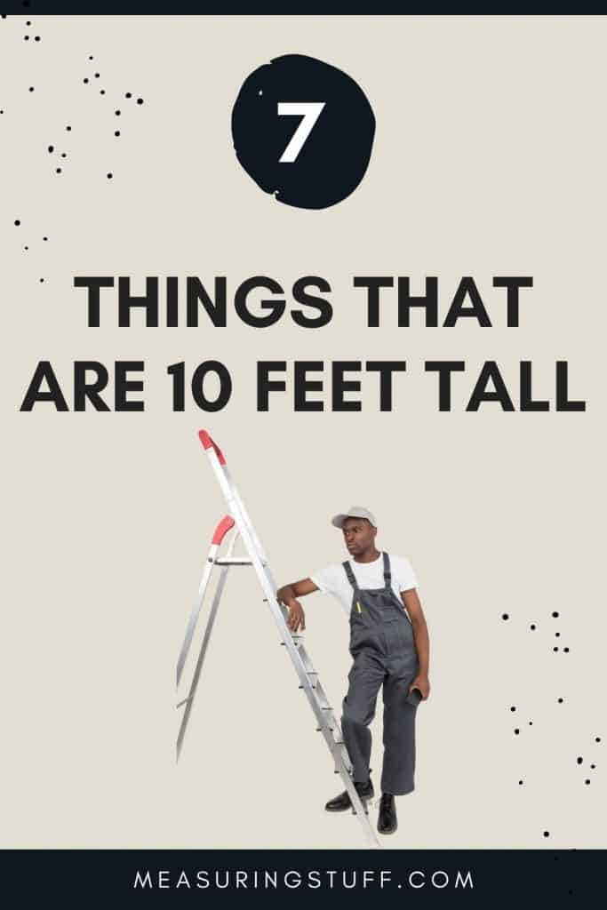 things that are 10 feet tall