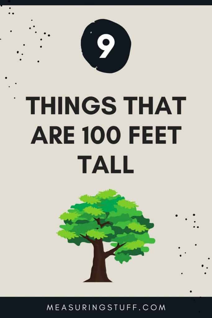 Things That Are 100 Feet Tall