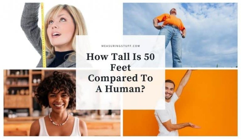 How Tall Is 50 Feet Compared To A Human?
