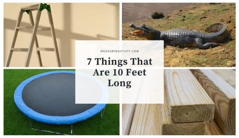 7 Things That Are 10 Feet Long (You Won’t Believe #4)