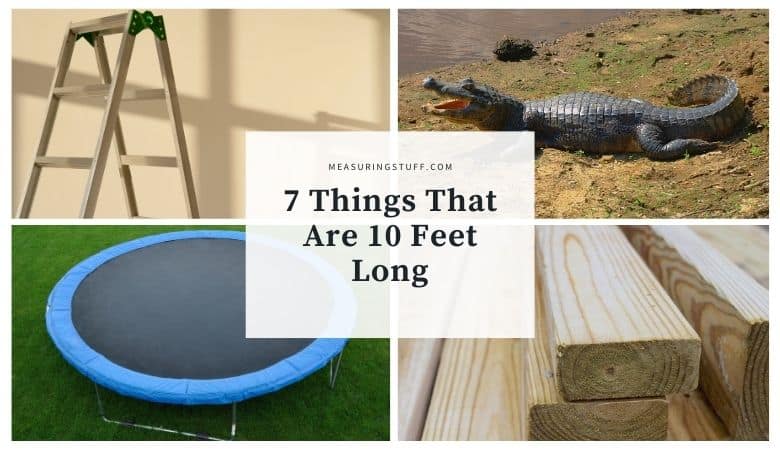 things that are 10 feet long