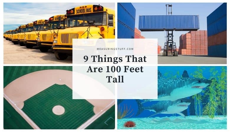 things that are 100 feet tall