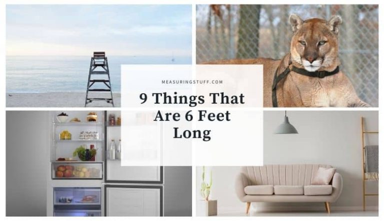9 Things That Are 6 Feet Long (You Won’t Believe #5)
