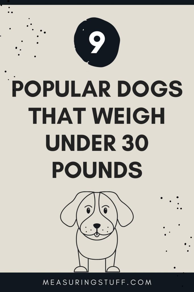 9 Popular Dogs That Weigh Under 30 Pounds