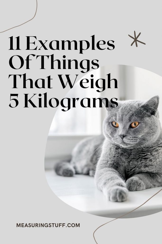 11 Examples Of Things That Weigh 5 Kilograms
