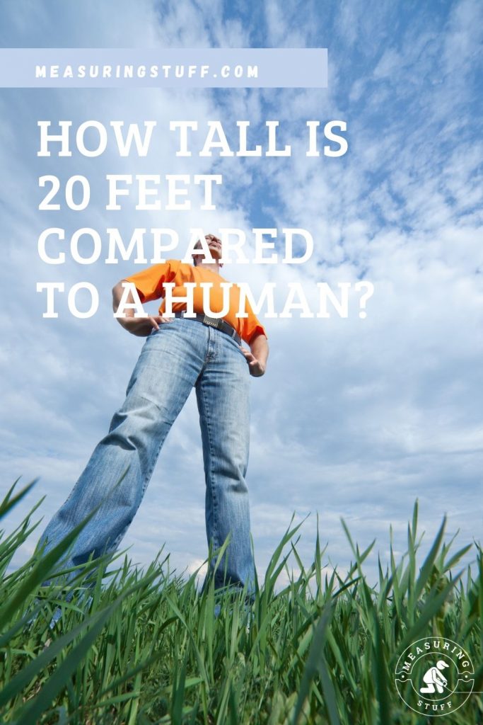 How Tall Is 20 Feet Compared To A Human?