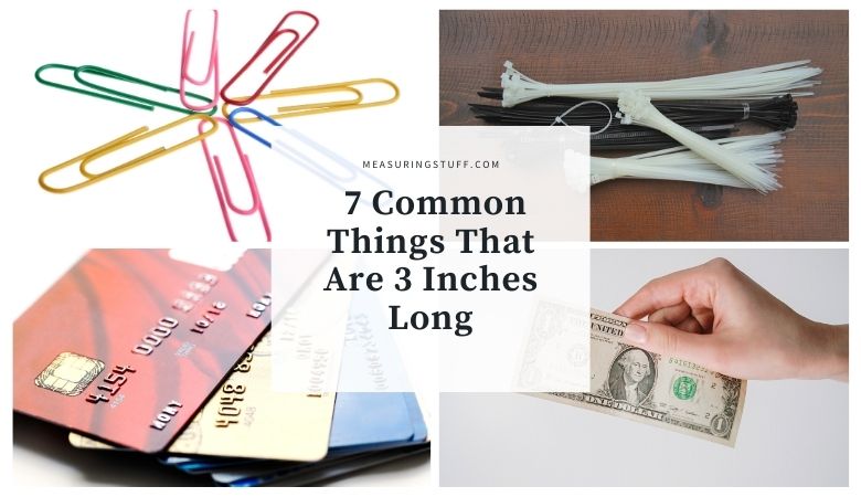 Common Things That Are 3 Inches Long
