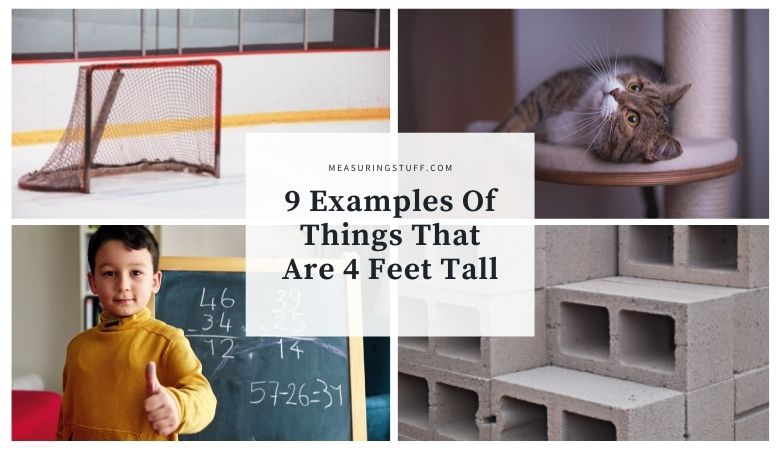 9 Examples Of Things That Are 4 Feet Tall