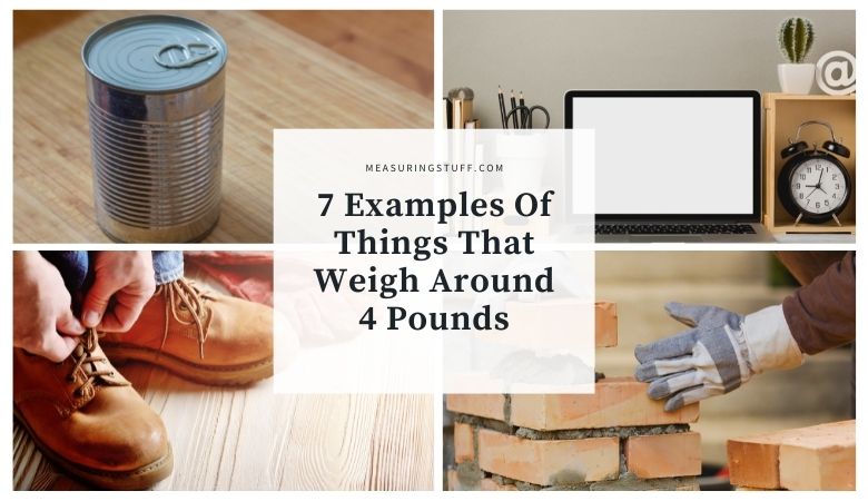 7 Examples Of Things That Weigh Around 4 Pounds