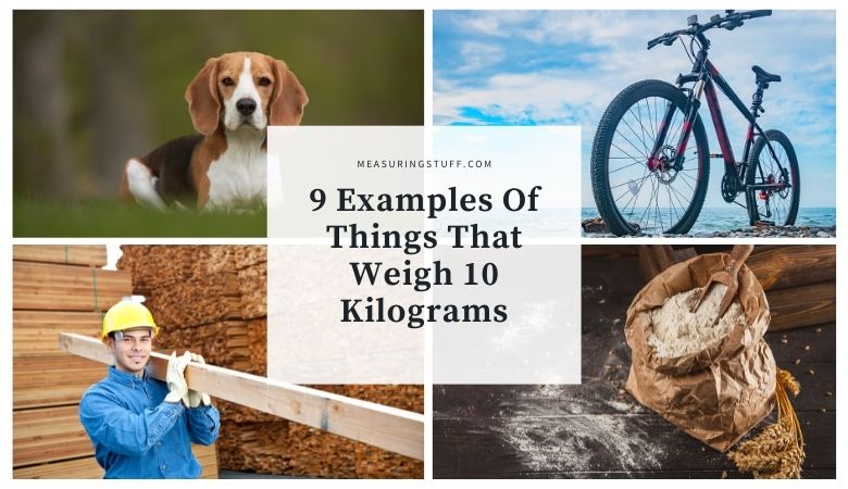 9 Examples Of Things That Weigh 10 Kilograms