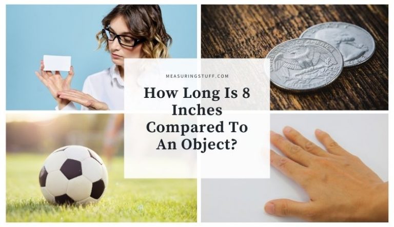 How Long Is 8 Inches Compared To An Object?