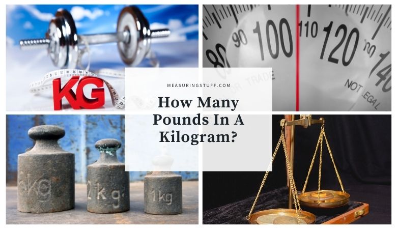 How Many Pounds In A Kilogram?