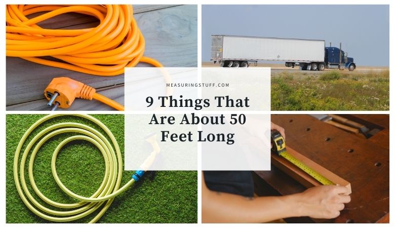 9 Things That Are About 50 Feet Long
