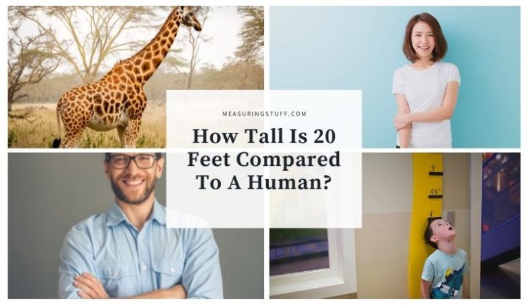 How Tall Is 20 Feet Compared To A Human?