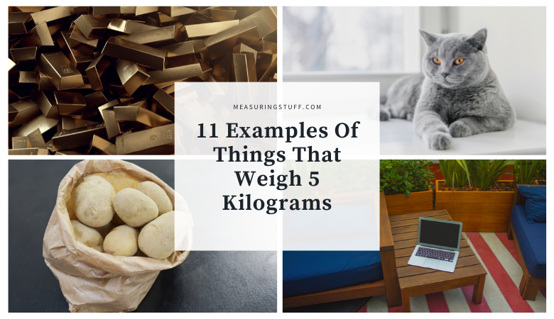 11 Examples Of Things That Weigh 5 Kilograms