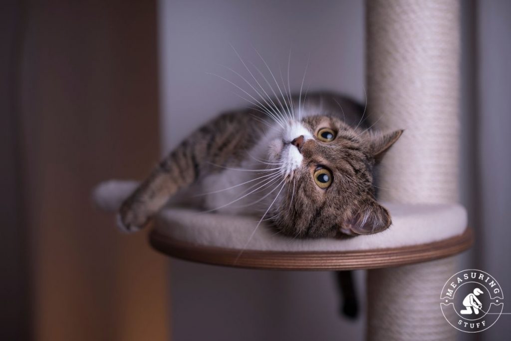 4 foot tall cat tree