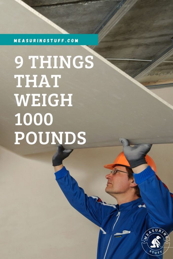9 Things That Weigh 1000 Pounds
