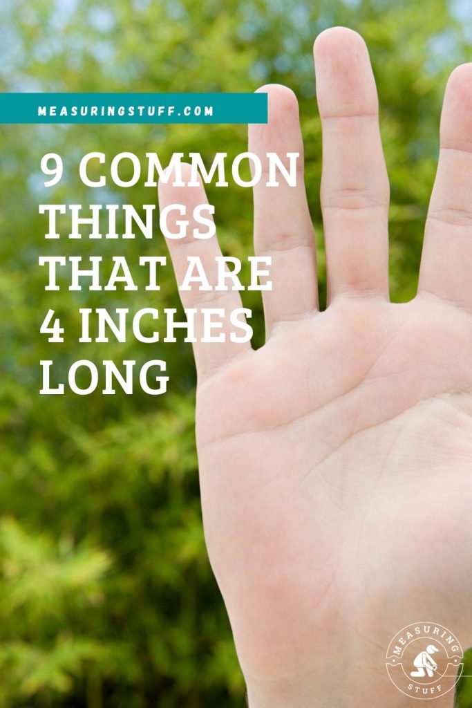 9 Common Things That Are 4 Inches Long