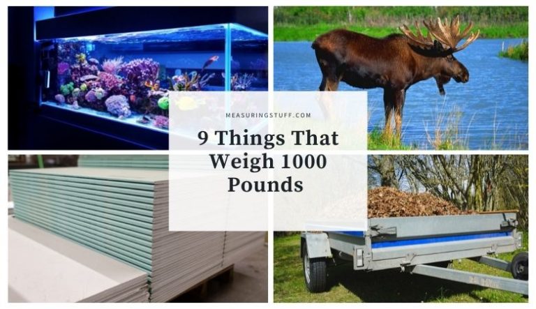 9 Things That Weigh 1000 Pounds (#9 Is Shocking)