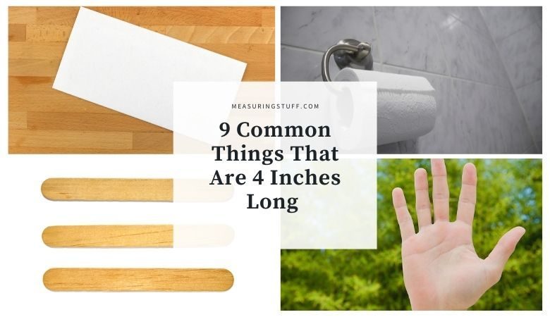 9 Common Things That Are 4 Inches Long