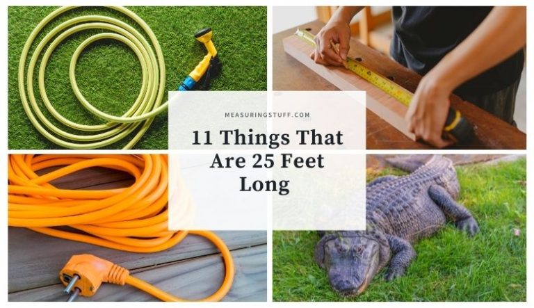 11 Things That Are 25 Feet Long