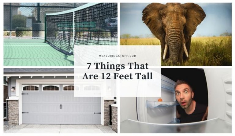 7 Things That Are 12 Feet Tall (You Won’t Believe #5)