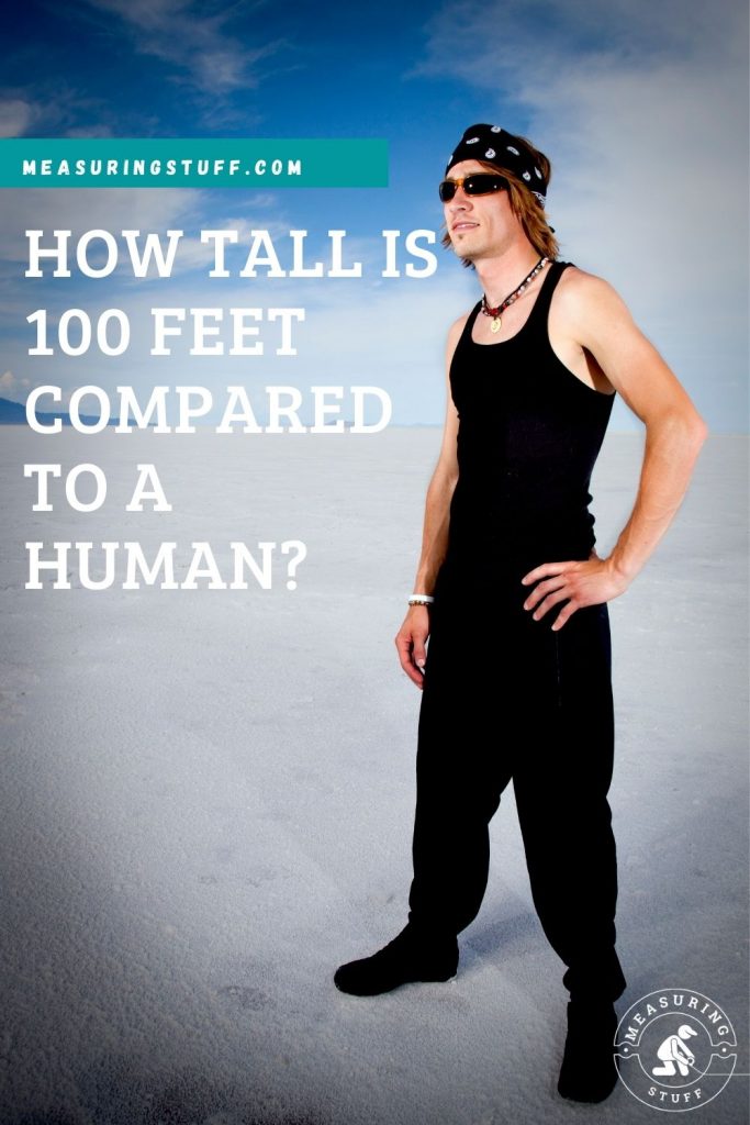 How Tall Is 100 Feet Compared To A Human?