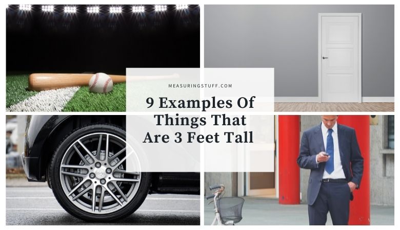 9 Examples Of Things That Are 3 Feet Tall