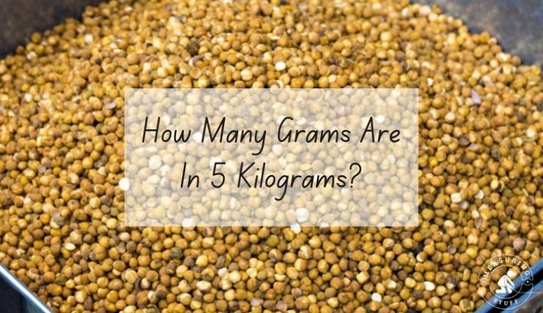 How Many Grams Are In 5 Kilograms?