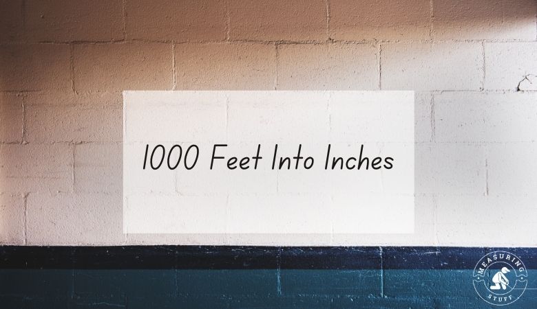 1000 Feet Into Inches