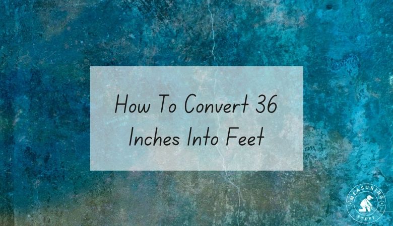 How To Convert 36 Inches Into Feet