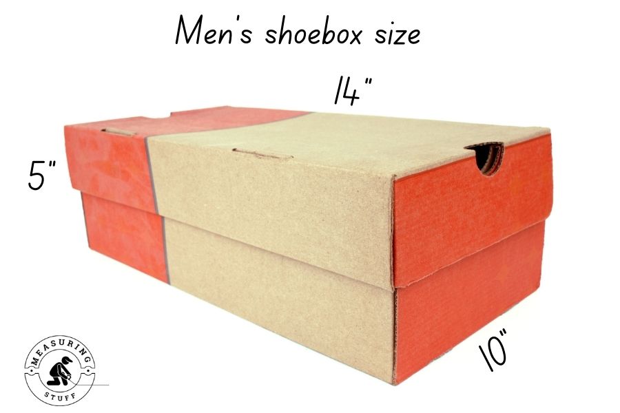 men's shoebox size