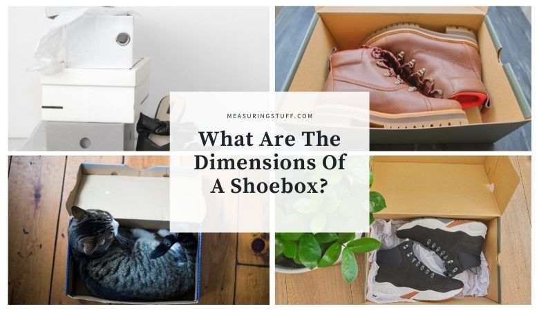 What Are The Dimensions Of A Shoebox?