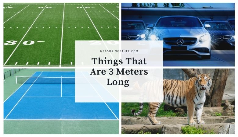 Things That Are 3 Meters Long