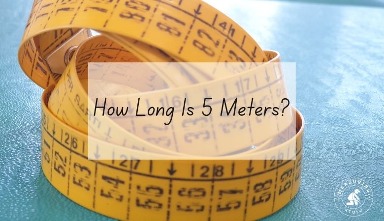 How Long Is 5 Meters?