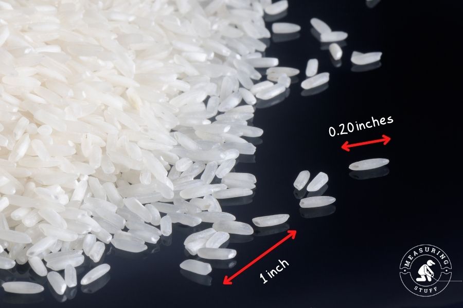 1 inch compared to a grain of rice