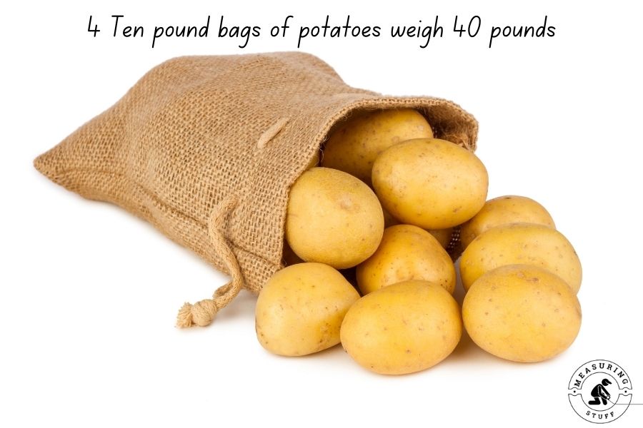 List Of Things That Weigh 40 Pounds