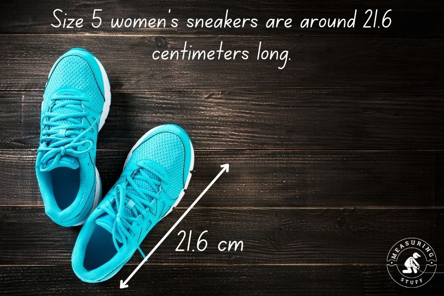 Things That Are 20 Centimeters Long