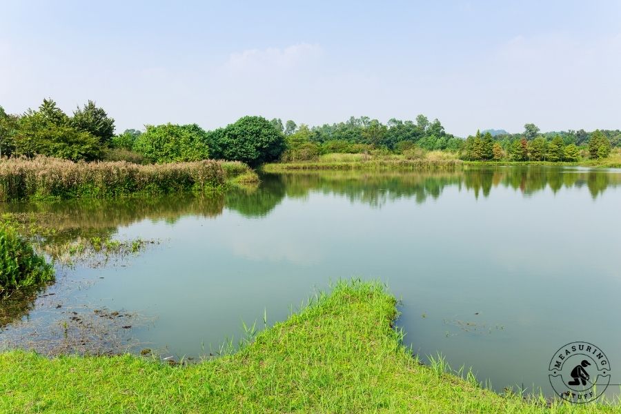 Large-sized pond