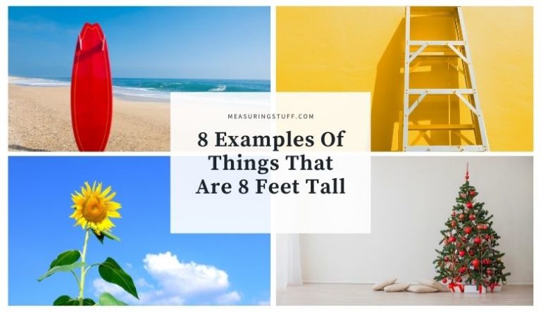 8 Examples Of Things That Are 8 Feet Tall