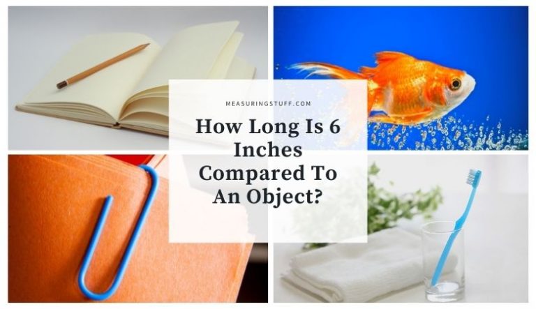 How Long Is 6 Inches Compared To An Object?