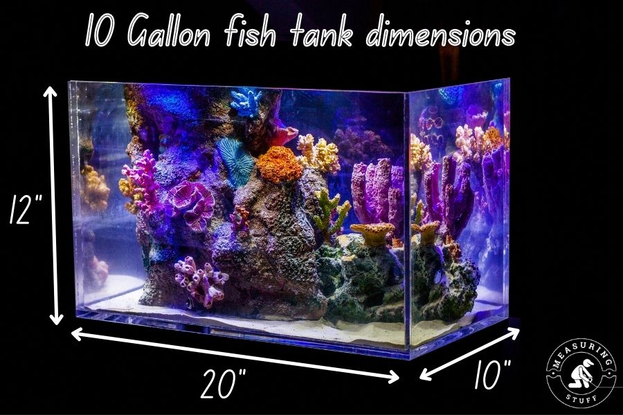 10 gallon aquarium with dimensions